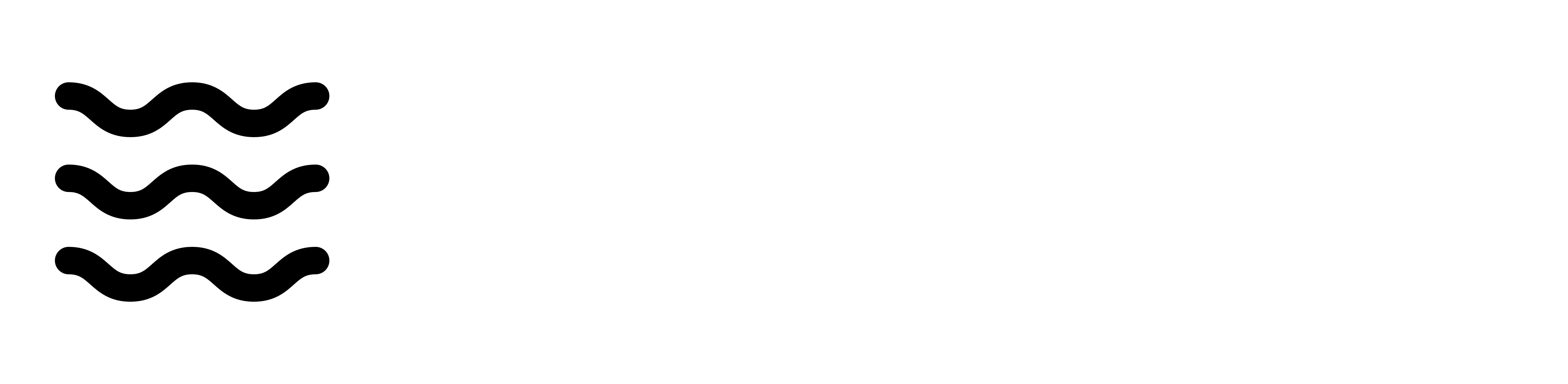 small logo